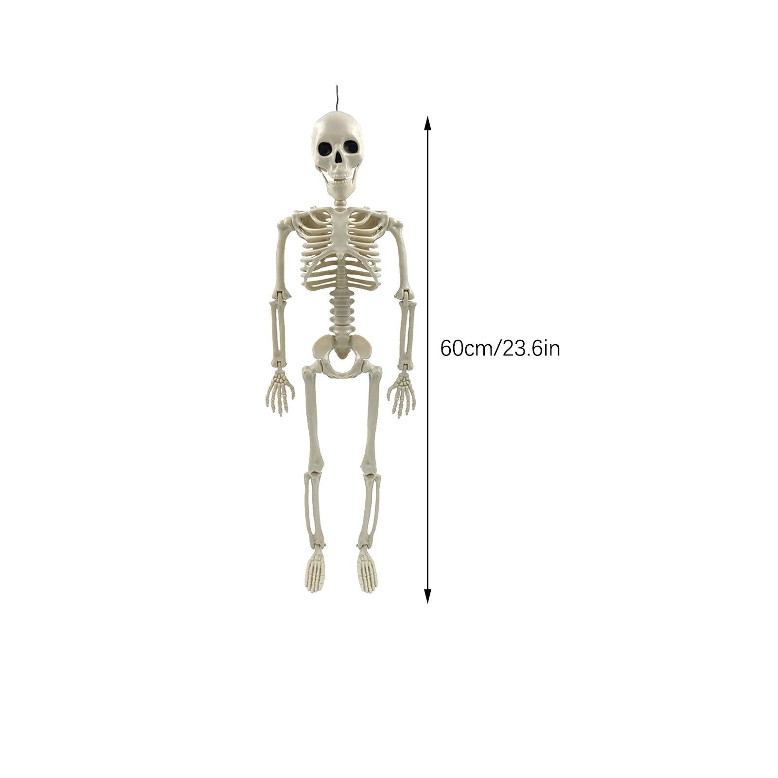 BeforeyaynHalloween Skeleton Decoration, 15” Whole Body Halloween Hanging Skeleton Decoration