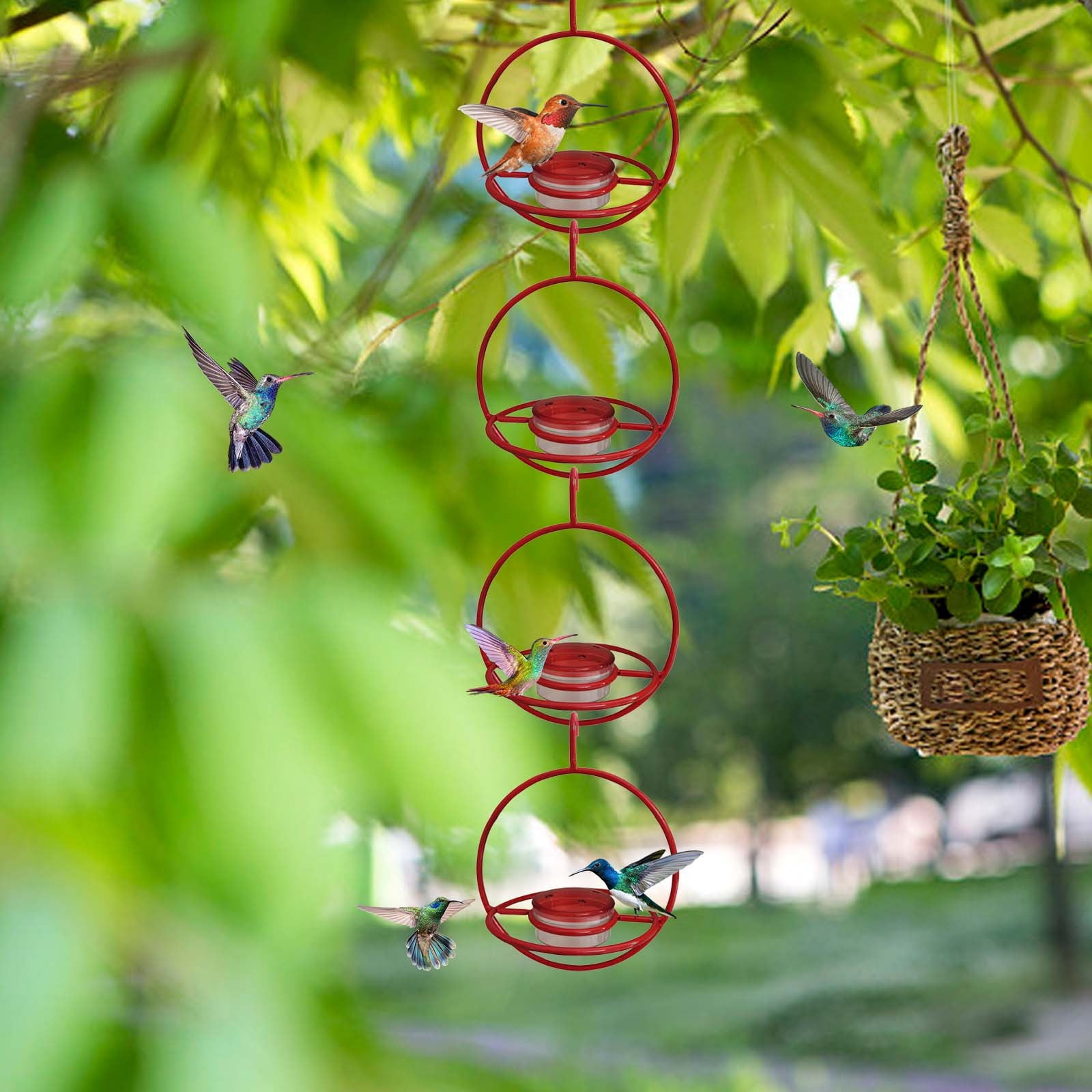 BeforeyaynMetal Hummingbird Water Feeder Hummingbirds Feeder Hanging ...