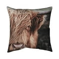 thumbnail image 1 of Begin Home Decor  16 x 16 in. Farmhouse Brown Pillow - Desaturated Highland Cow Decor, 1 of 1