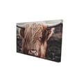 thumbnail image 1 of Begin Home Decor 2080-1218-PH1-2 12 x 18 in. Desaturated Highland Cow-Print on Canvas, 1 of 1