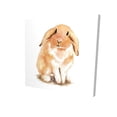 thumbnail image 1 of Begin Home Decor 2080-1616-AN371 16 x 16 in. Lop-Rabbit-Print on Canvas, 1 of 1