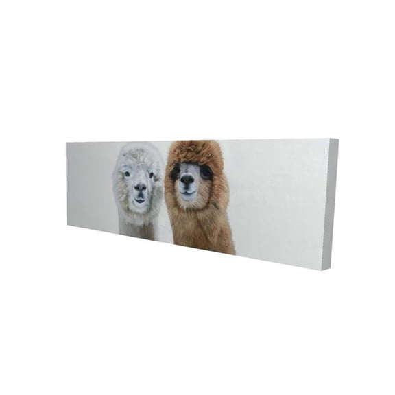 Begin Home Decor 2080-1648-AN470 16 x 48 in. White Farm Animals Canvas - Two Llamas Home Decor Bedroom