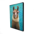 thumbnail image 1 of Begin Home Decor 2081-3624-AN515 24 x 36 in. Lovable Llama - Turquoise Animals Framed Canvas Home Decor, 1 of 4