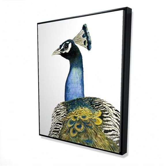 Begin Home Decor 2081-6048-AN506 48 x 60 in. Watercolor Peacock - Exotic Feathers Framed Canvas Art