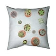 thumbnail image 1 of Begin Home Decor 5541-1818-FL331 18 x 18 in. Cactus Plants-Double Sided Print Indoor Pillow, 1 of 1