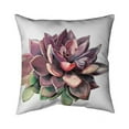 thumbnail image 1 of Begin Home Decor 5541-1818-FL335 18 x 18 in. Succulent-Double Sided Print Indoor Pillow, 1 of 1