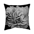 thumbnail image 1 of Begin Home Decor 5541-1818-FL92 18 x 18 in. Beautiful Black & White Flower-Double Sided Print Indoor Pillow, 1 of 1
