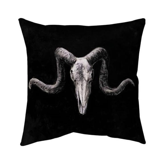 Begin Home Decor 5541-2020-AN225 20 x 20 in. Skeleton Skulls Grunge Style-Double Sided Print Indoor Pillow