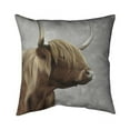 thumbnail image 1 of Begin Home Decor 5541-2020-AN316-2 20 x 20 in. Beautiful Desaturated Higland Cattle-Double Sided Print Indoor Pillow, 1 of 1