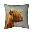 thumbnail image 1 of Begin Home Decor 5541-2020-AN316 20 x 20 in. Beautiful Higland Cattle-Double Sided Print Indoor Pillow, 1 of 1