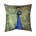 thumbnail image 1 of Begin Home Decor 5541-2020-AN505 20 x 20 in. Peacock-Double Sided Print Indoor Pillow, 1 of 1