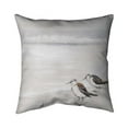 thumbnail image 1 of Begin Home Decor 5541-2020-AN97-1 20 x 20 in. Two Sandpipiers Birds-Double Sided Print Indoor Pillow, 1 of 1