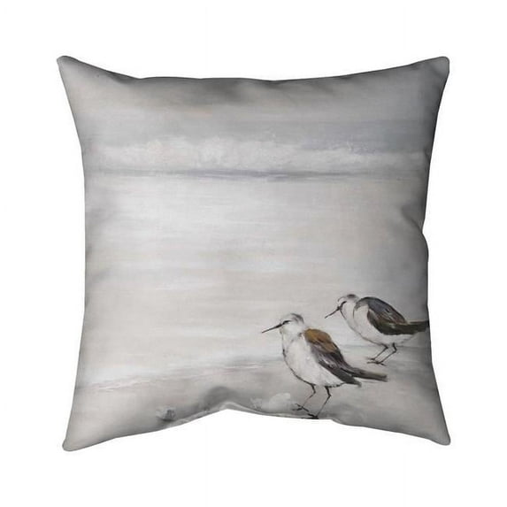 Begin Home Decor 5541-2020-AN97-1 20 x 20 in. Two Sandpipiers Birds-Double Sided Print Indoor Pillow