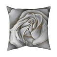thumbnail image 1 of Begin Home Decor 5541-2020-FL12 20 x 20 in. White Rose Delicate-Double Sided Print Indoor Pillow, 1 of 1