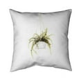 thumbnail image 1 of Begin Home Decor 5541-2020-FL307 20 x 20 in. Suspended Fern-Double Sided Print Indoor Pillow, 1 of 1