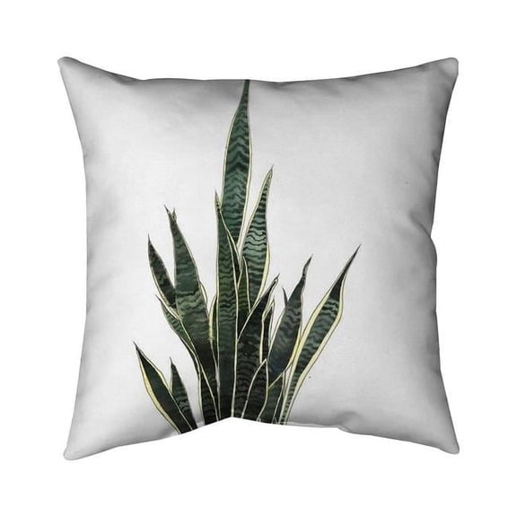 Begin Home Decor 5541-2020-FL340 20 x 20 in. Snake Plant-Double Sided Print Indoor Pillow