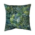 thumbnail image 1 of Begin Home Decor 5541-2020-FL353 20 x 20 in. Abstract Succulents-Double Sided Print Indoor Pillow, 1 of 1