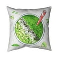thumbnail image 1 of Begin Home Decor 5541-2020-GA110 20 x 20 in. Green Smoothie-Double Sided Print Indoor Pillow, 1 of 1