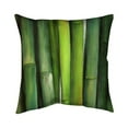 thumbnail image 1 of Begin Home Decor 5541-2020-LA97 20 x 20 in. Green Bamboo-Double Sided Print Indoor Pillow, 1 of 1