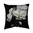 thumbnail image 1 of Begin Home Decor 5541-2626-FL131 26 x 26 in. White Orchids-Double Sided Print Indoor Pillow, 1 of 1