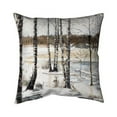 thumbnail image 1 of Begin Home Decor 5541-2626-LA151 26 x 26 in. Winter Swamp-Double Sided Print Indoor Pillow, 1 of 1