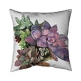 thumbnail image 1 of Begin Home Decor 5542-1616-FL336 16 x 16 in. Succulent Plant-Double Sided Print Outdoor Pillow Cover, 1 of 1