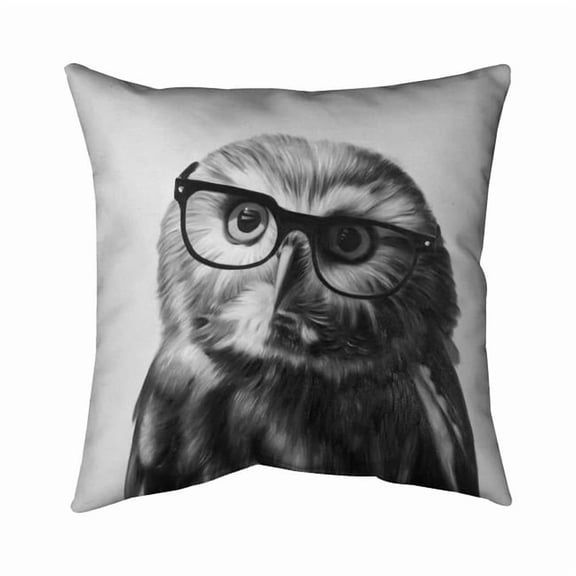 Begin Home Decor 5542-1818-AN294 18 x 18 in. Northern Saw-Whet Owl with Glasses - Black Outdoor Throw Pillow