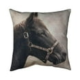 thumbnail image 1 of Begin Home Decor 5542-1818-AN64 18 x 18 in. Gallopin The Brown Horse-Double Sided Print Outdoor Pillow Cover, 1 of 1