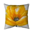 thumbnail image 1 of Begin Home Decor 5542-1818-FL102 18 x 18 in. Beautiful Yellow Flower-Double Sided Print Outdoor Pillow Cover, 1 of 1