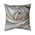 thumbnail image 1 of Begin Home Decor 5542-1818-FL11 18 x 18 in. White Rose Closeup-Double Sided Print Outdoor Pillow Cover, 1 of 1