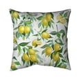 thumbnail image 1 of Begin Home Decor 5542-1818-GA119 18 x 18 in. Lemon Pattern-Double Sided Print Outdoor Pillow Cover, 1 of 1