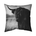 thumbnail image 1 of Begin Home Decor 5542-2020-PH2 20 x 20 in. Beautiful Monochrome Highland Cow-Double Sided Print Outdoor Pillow Cover, 1 of 1