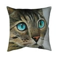 thumbnail image 1 of Begin Home Decor 5543-1616-AN364 16 x 16 in. Curious Cat Portrait-Double Sided Print Indoor Pillow Cover, 1 of 1