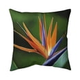 thumbnail image 1 of Begin Home Decor 5543-1616-FL326 16 x 16 in. Bird of Paradise Flower-Double Sided Print Indoor Pillow Cover, 1 of 1
