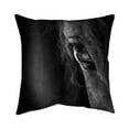 thumbnail image 1 of Begin Home Decor 5543-1616-PH4 16 x 16 in. Black Horse-Double Sided Print Indoor Pillow Cover, 1 of 1