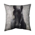 thumbnail image 1 of Begin Home Decor 5543-2626-AN143 26 x 26 in. Black Horse-Double Sided Print Indoor Pillow Cover, 1 of 1