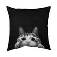 thumbnail image 1 of Begin Home Decor 5543-2626-AN196 26 x 26 in. Curious Cat-Double Sided Print Indoor Pillow Cover, 1 of 1