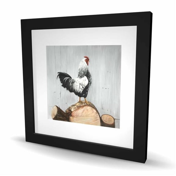 Begin Home Decor C1FM16167EU76P 16 x 16 in. Wyandotte Rooster Print - White Rustic Framed Home Decor