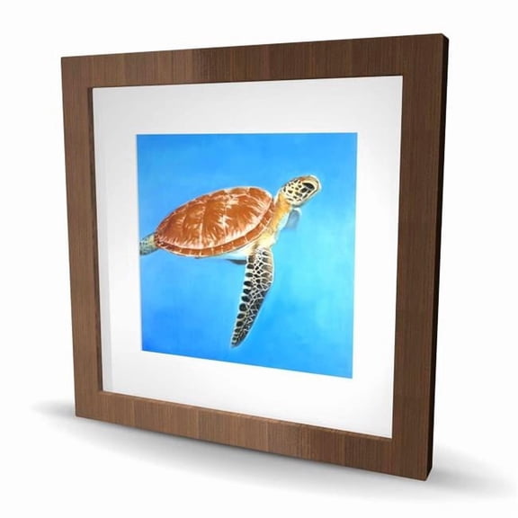 Begin Home Decor C1FM1616GOEBGT 16 x 16 in. Green Aquatic Turtle - Framed Matted Print for Home Decor