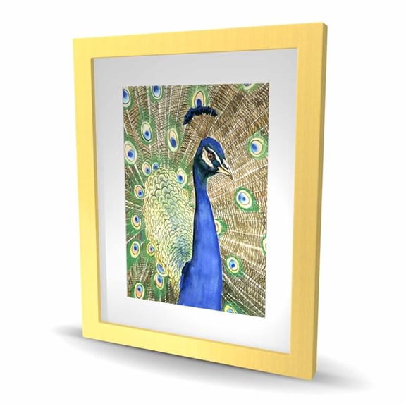 Begin Home Decor C1FM1620LATC52 16 x 20 in. Peacock - Brown Framed Matted Print for Home Decor
