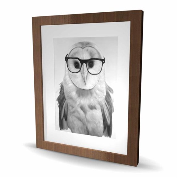 Begin Home Decor C1FM1620X2XE8Y 16 x 20 in. Realistic Barn Owl with Glasses - Framed Matted Print Decor