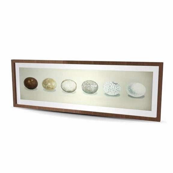 Begin Home Decor C1FM2060BFW2CE 20 x 60 in. Golf Ball Evolution - Framed Matted Print for Man Cave Decor