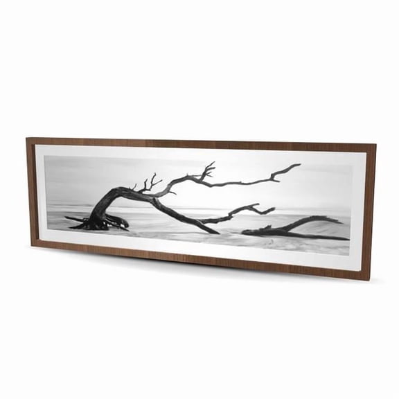 Begin Home Decor C1FM2060U5JLGZ 20 x 60 in. Dead Tree in Water - Black Office Framed Matted Print Decor