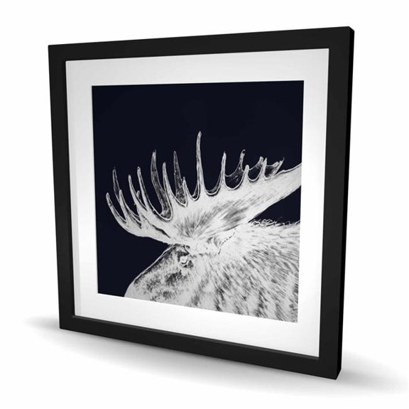 Begin Home Decor C1FM2424V2I7N4 24 x 24 in. Big Moose Plume - Deer Animals Framed Matted Print for Decor