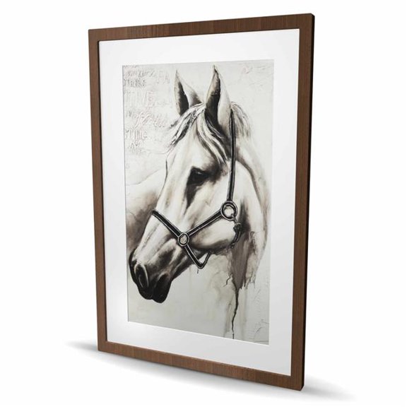 Begin Home Decor C1FM2436JQZUID 24 x 36 in. Flicka the White Horse Framed Matted Print - Home Decor