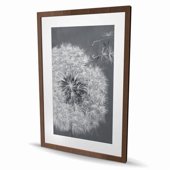 Begin Home Decor C1FM2436VZ7EDR 24 x 36 in. Blowing Dandelion - Monochrome Framed Print for Home Decor