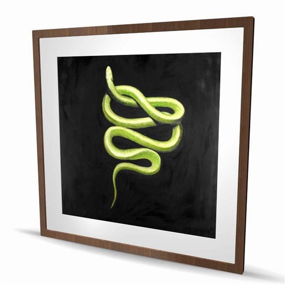 Begin Home Decor C1FM36360XIGBM 36 x 36 in. Green Snake Framed Matted Print - Wildlife Home Decor