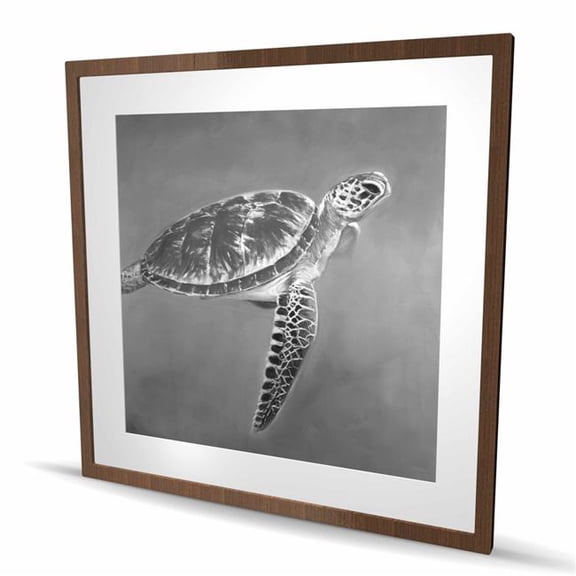 Begin Home Decor C1FM3636P2QXTF 36 x 36 in. Grayscale Aquatic Turtle - Black Framed Matted Print - Decor