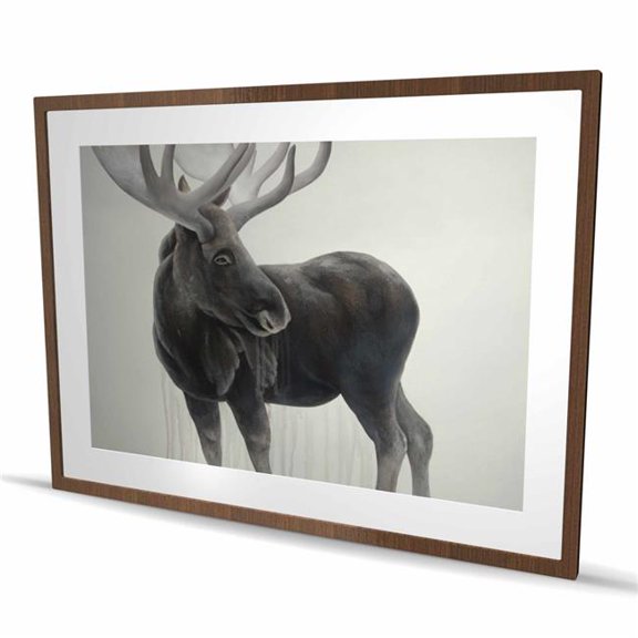 Begin Home Decor C1FM3648QM8730 36 x 48 in. Bull Moose - Scandinavian Framed Matted Print for Home Decor