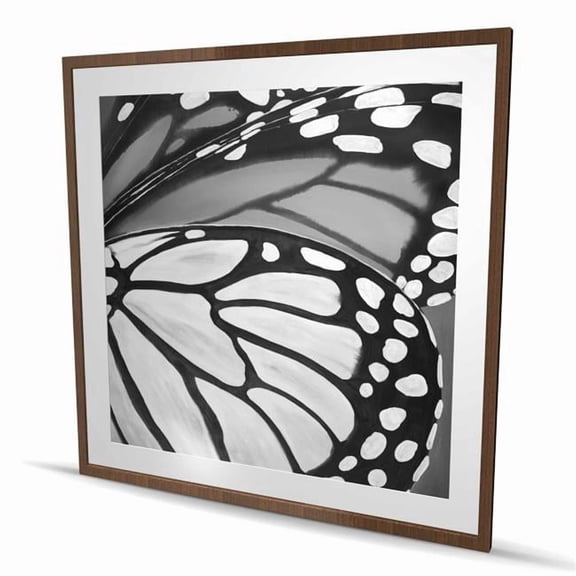 Begin Home Decor C1FM48482PCWT6 48 x 48 in. Butterfly Wings Closeup - Black Framed Matted Print Decor
